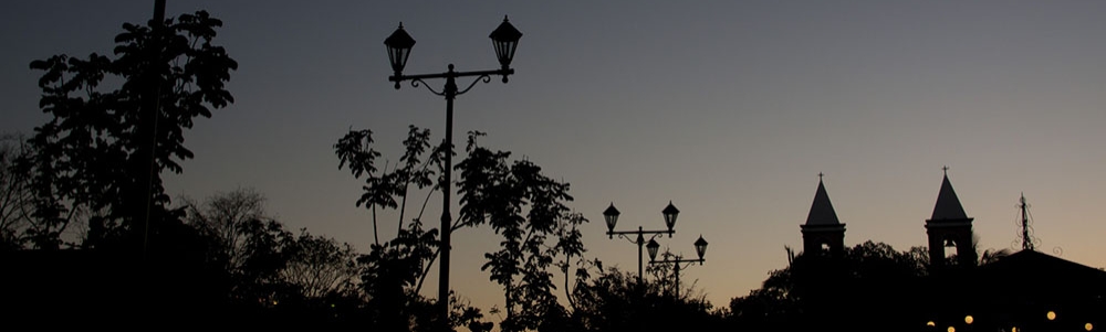 User banner image